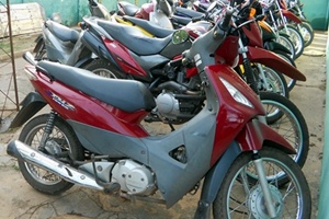 Operação da Polícia apreende dezenas de motos em Esperantina