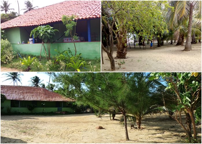 Paraíso Carnaubinha