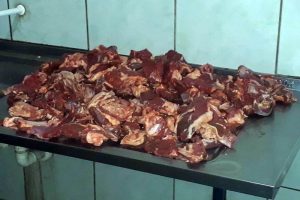 CARNE IMPRÓPRIA