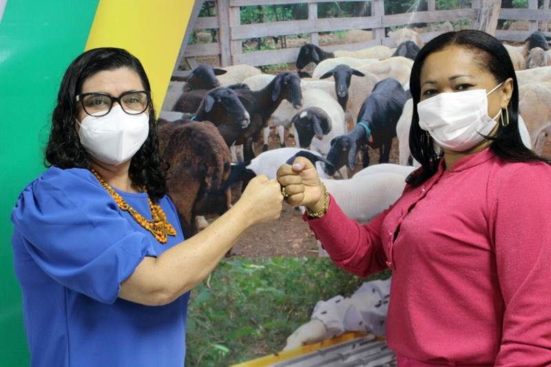 Teresinha Emel se reúne com secretários de Estado para tratar sobre demandas para Esperantina