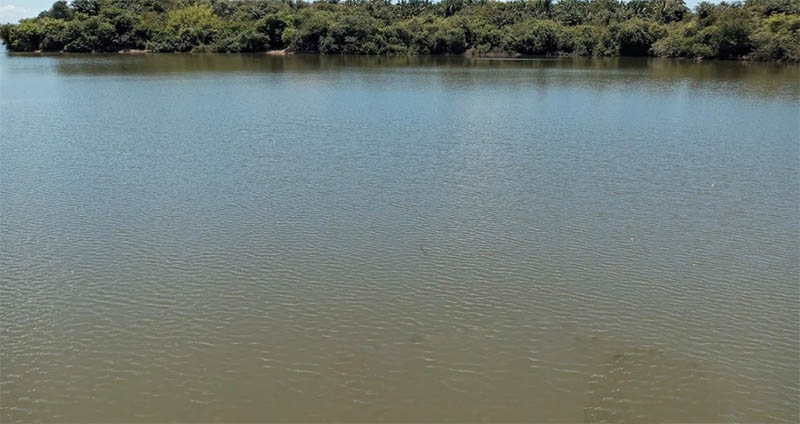 Rio Longá