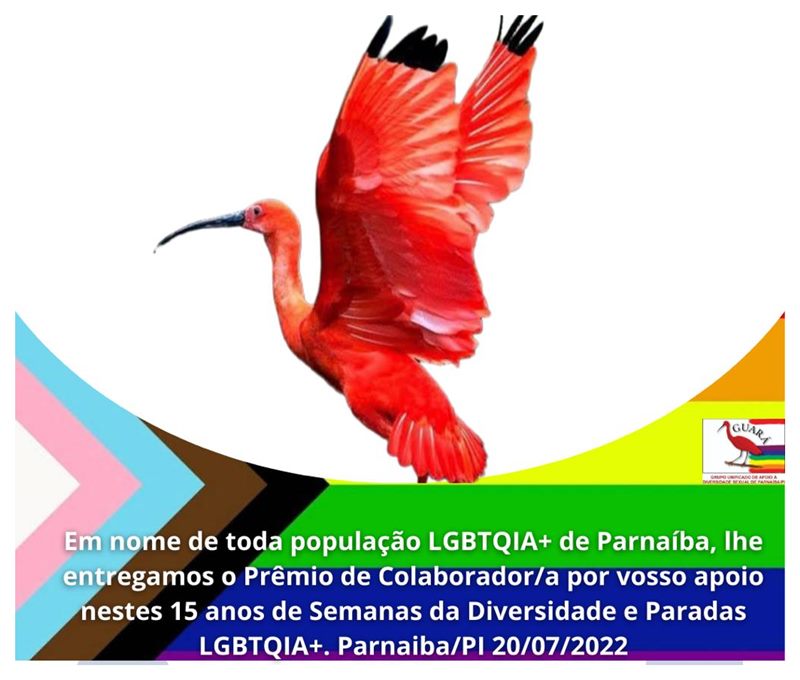 grupo guará