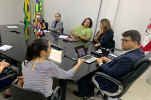 Piauí vai implementar protocolo espanhol para violência contra mulher