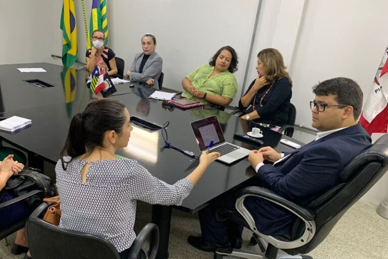 Piauí vai implementar protocolo espanhol para violência contra mulher