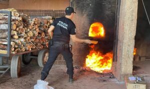 drogas incinerada