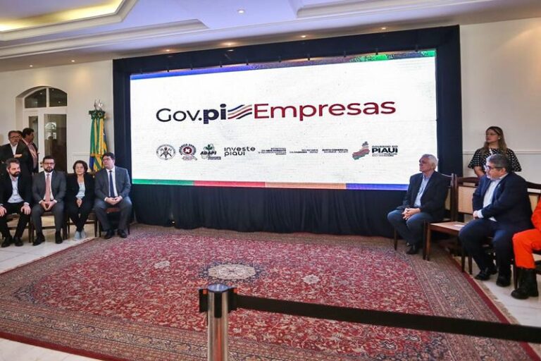 piaui empresas