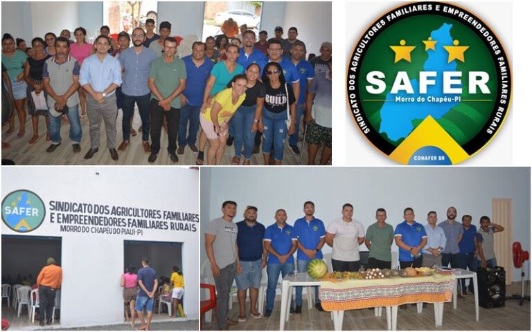 sindicato safer