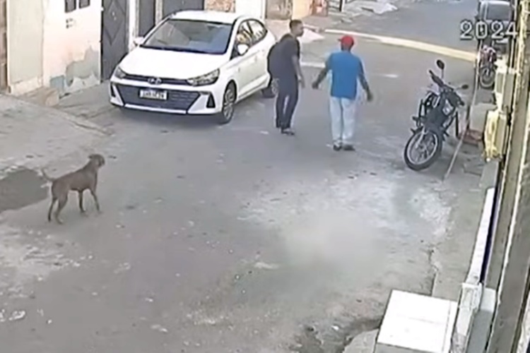 Homens se matam com a mesma arma em briga por dívida de drogas. VÍDEO