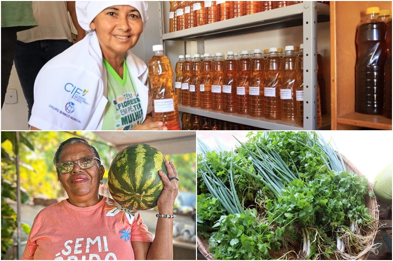 1º Circuito de Feiras da Agricultura Familiar e Projetos de Vida acontecerá nesta sexta-feira (28) em Esperantina (PI)