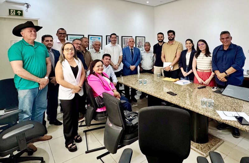 Vereadores de Esperantina participam de audiência com Themistocles Filho