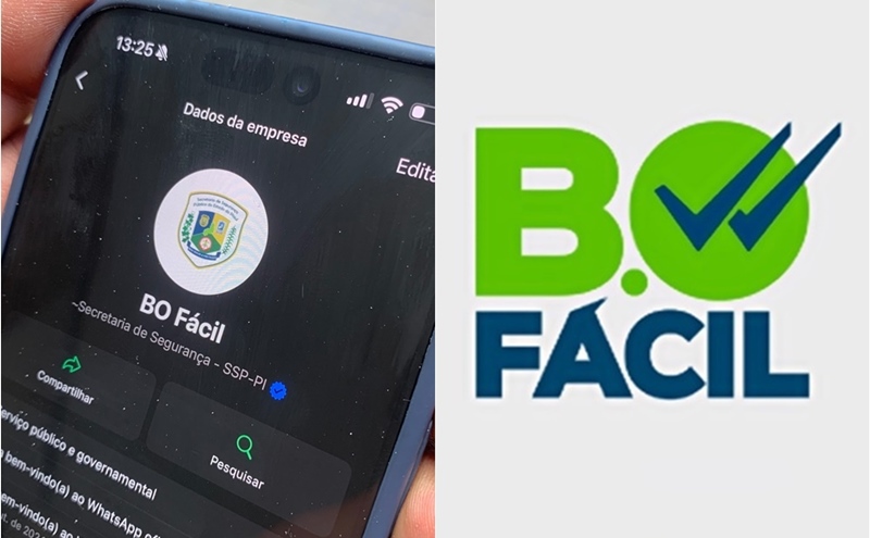 Piauí será o primeiro estado do Brasil a ter boletim de ocorrência no Whatsapp