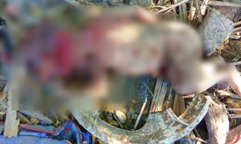 Adolescente é suspeita de ser mãe de bebê que foi encontrado abandonado em Porto-PI