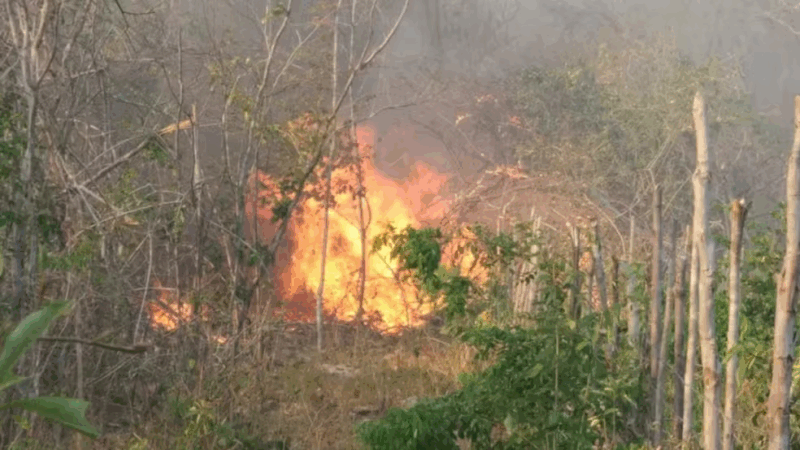 Agricultor de 49 anos morre durante queima de roça em Joaquim Pires