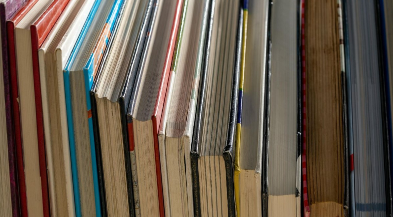 Governo lança “Netflix dos livros” com milhares de obras gratuitas no Brasil; saiba como acessar!